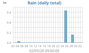 rain
