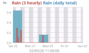 rain