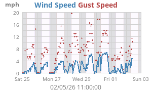 wind