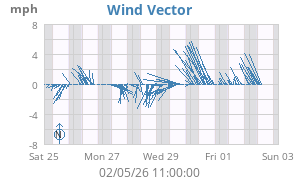 Wind Vector